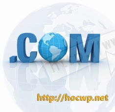 Lựa chọn tên miền và hosting cho WordPress