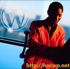 Cài đặt giao diện WordPress