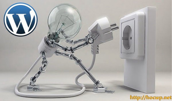 Cài đặt plugin nào cho WordPress