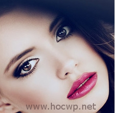 Những loại website tạo từ WordPress