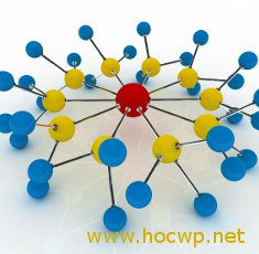 Tìm hiểu về liên kết trong SEO