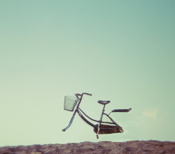 Google hiển thị kết quả tìm kiếm cho bài viết thiếu từ khóa