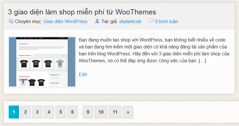 Tạo phân trang cho WordPress với custom query