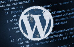 Lập trình WordPress nâng cao