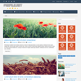 Dự án website Premium File