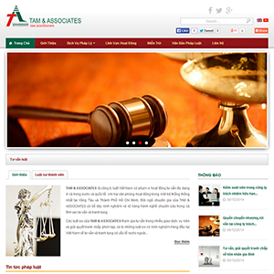 Website TAM Associates thumbnail