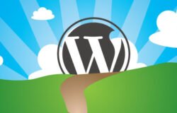 Dịch vụ thiết kế cài đặt WordPress