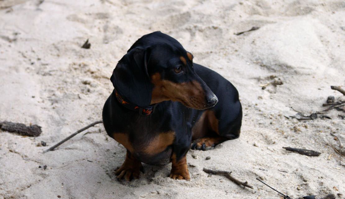 Zoom hình ảnh với jQuery Zoom