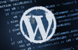 WordPress code logo