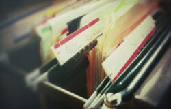 Thiết kế website WordPress