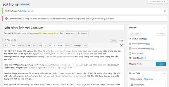 Lỗi Connection lost trên WordPress