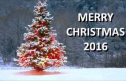 Merry Christmas and Happy New year 2016