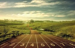 Thêm meta cho chuyện mục WordPress