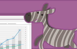 WooCommerce 2.6.4 banner small