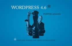 WordPress 4.6 Pepper