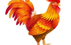 HocWP sẽ làm việc trở lại vào mùng 10 Tết Đinh Dậu