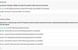 Sửa lỗi Enable Compression và Leverage Browser Caching
