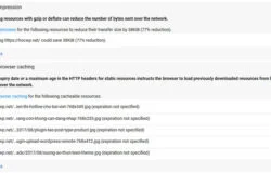 Sửa lỗi Enable Compression và Leverage Browser Caching