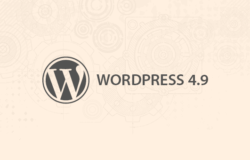 WordPress 4.9