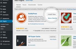 Cài đặt plugin WordPress
