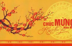 Chúc mừng năm mới - Happy New Year