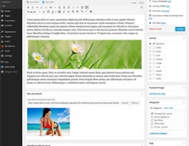 SB Featured Image