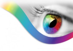 Thị trường thiết kế website Đà Lạt