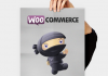 Thêm thông tin mở rộng cho sản phẩm WooCommerce
